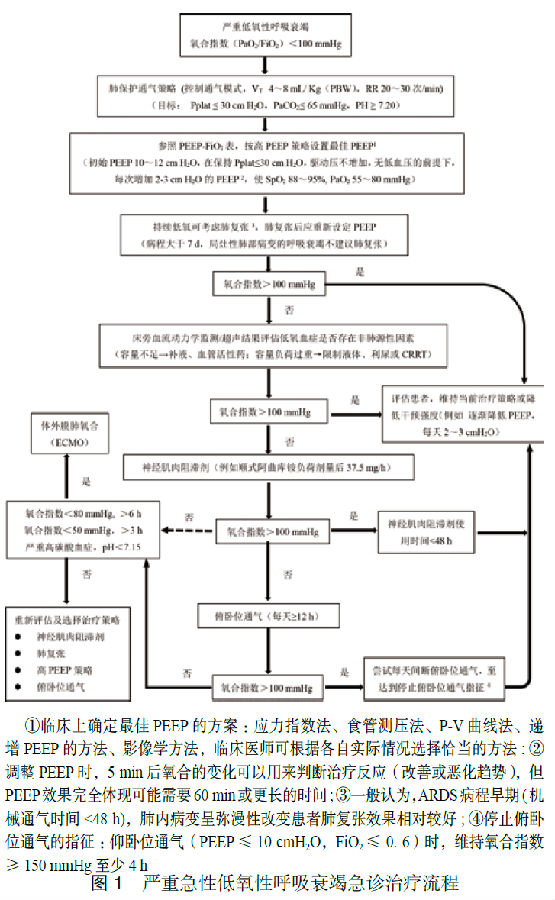 严重急性低氧性呼吸衰竭急诊治疗专家共识2