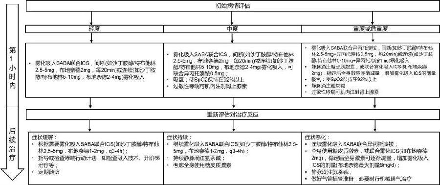 雾化吸入疗法急诊临床应用专家共识