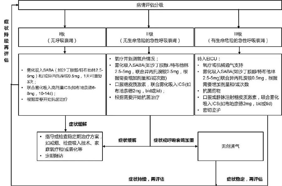 雾化吸入疗法急诊临床应用专家共识