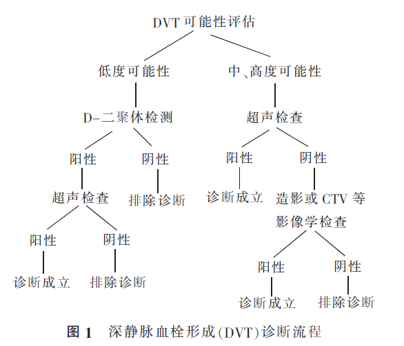 深静脉血栓形成的诊断和治疗指南（第三版）