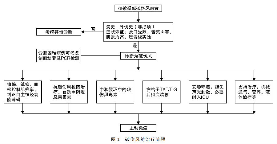 成人破伤风急诊预防及诊疗专家共识