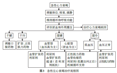 中国心力衰竭诊断和治疗指南2018之急性心衰