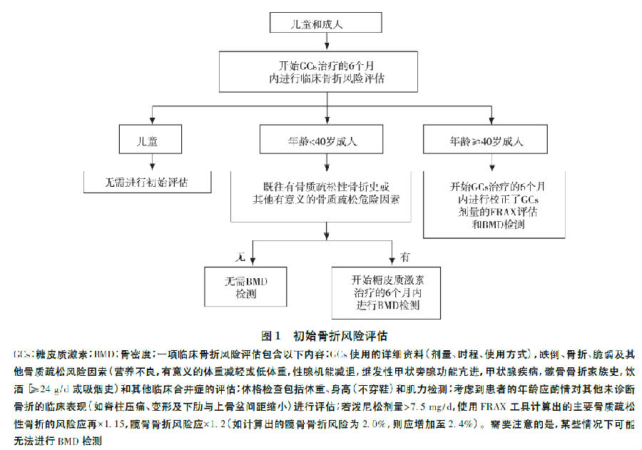 2017年美国风湿病协会糖皮质激素性骨质疏松症预防与治疗指南