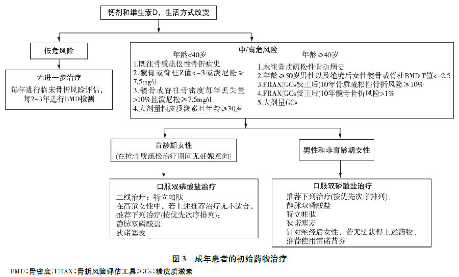 2017年美国风湿病协会糖皮质激素性骨质疏松症预防与治疗指南