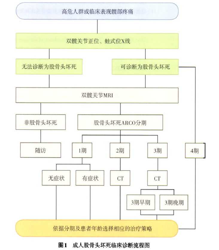 成人股骨头坏死临床诊疗指南(2016)