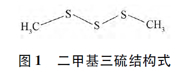 新型氰化物中毒解毒剂二甲基三硫研究进展