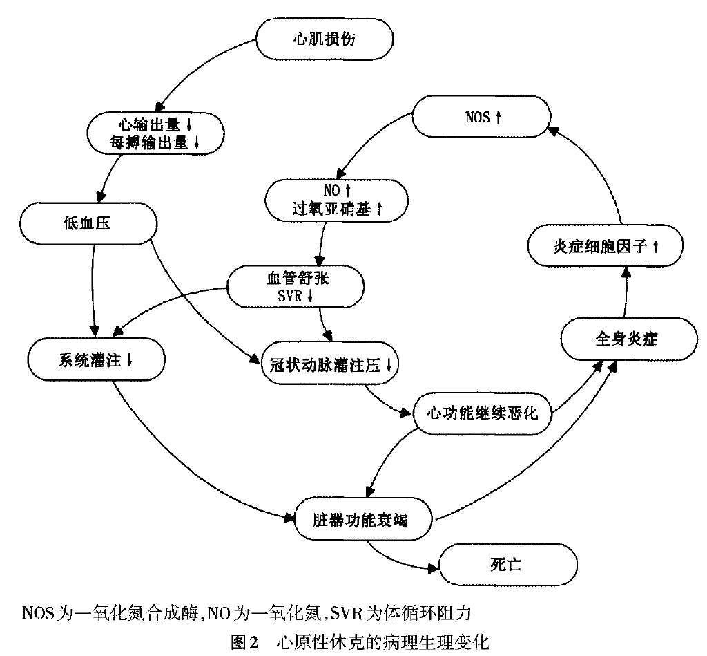 心原性休克诊断和治疗中国专家共识(2018)