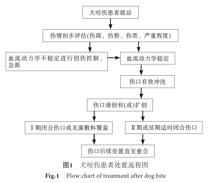 中国犬咬伤治疗急诊专家共识（2019）