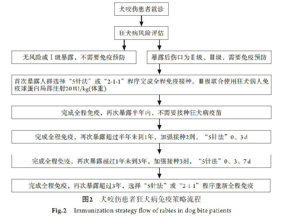 中国犬咬伤治疗急诊专家共识（2019）