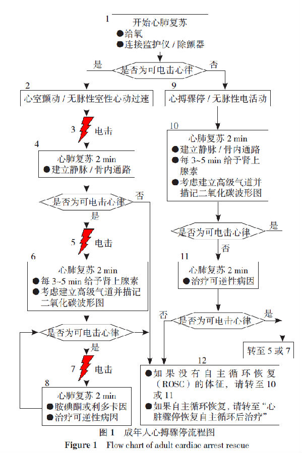 2018年心肺复苏和心血管急救科学与治疗建议的国际共识 关于心搏骤停期间或之后使用抗心律失常药物的更新解读