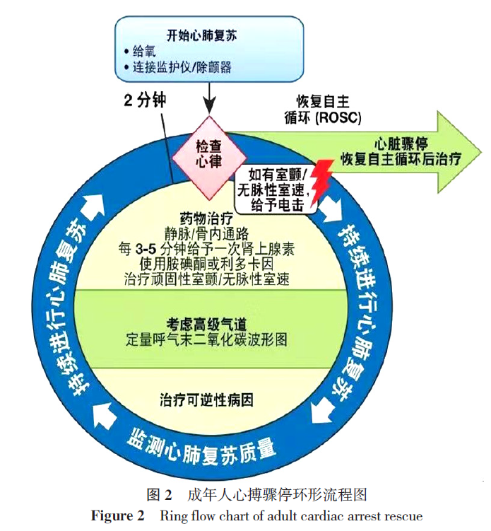 2018年心肺复苏和心血管急救科学与治疗建议的国际共识 关于心搏骤停期间或之后使用抗心律失常药物的更新解读