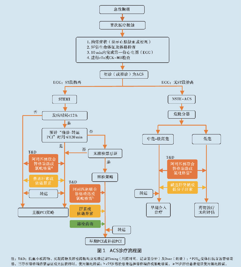 急性冠状动脉综合征患者早期抗栓治疗及院间转运专家共识