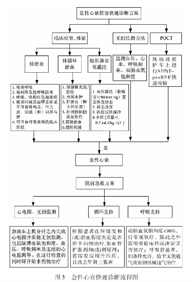 中国急诊急性心力衰竭单元建设与管理专家共识