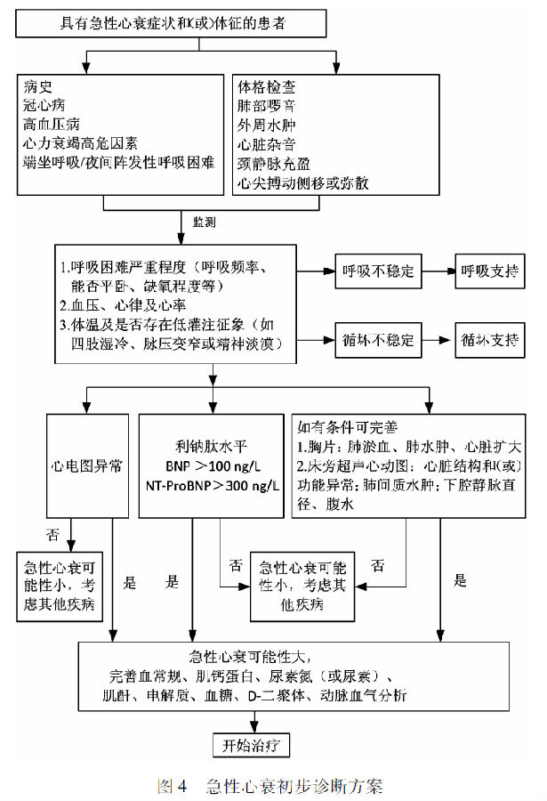 中国急诊急性心力衰竭单元建设与管理专家共识