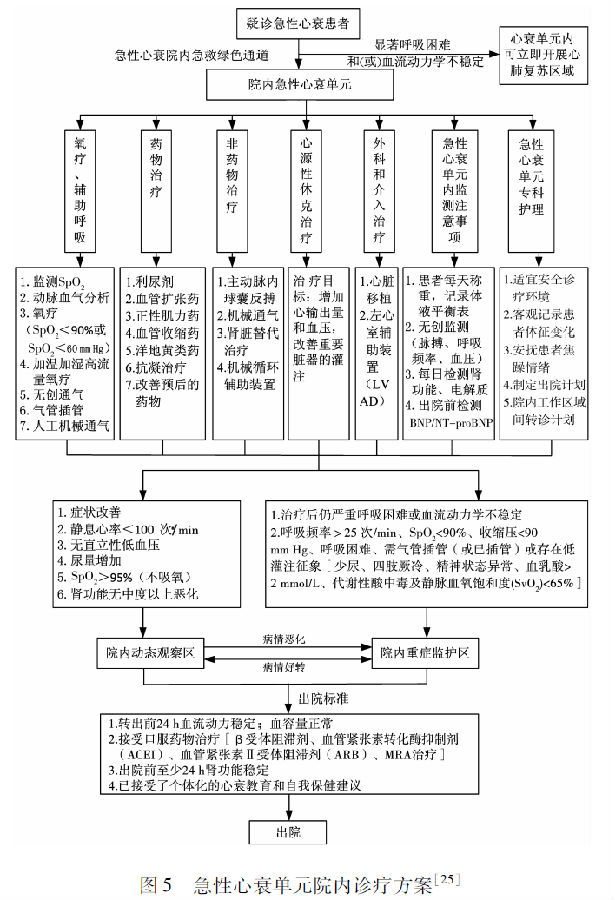 中国急诊急性心力衰竭单元建设与管理专家共识