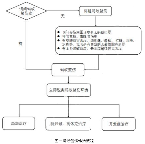 蚂蚁螫伤救治规范