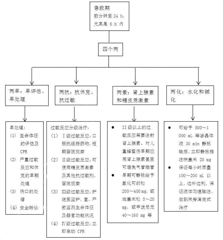 胡蜂蜇伤早期处置规范