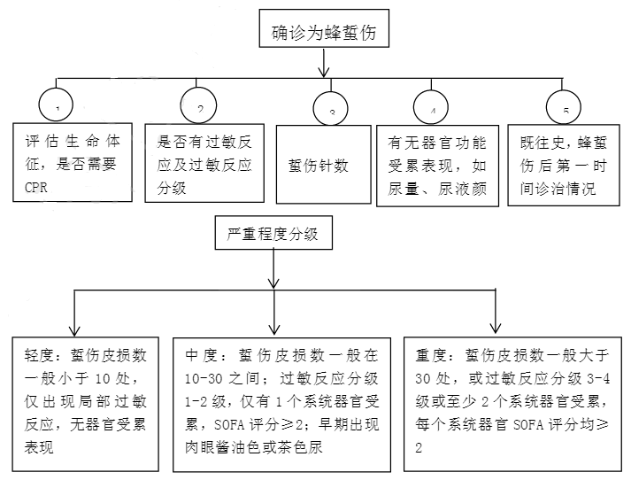 胡蜂蜇伤早期处置规范