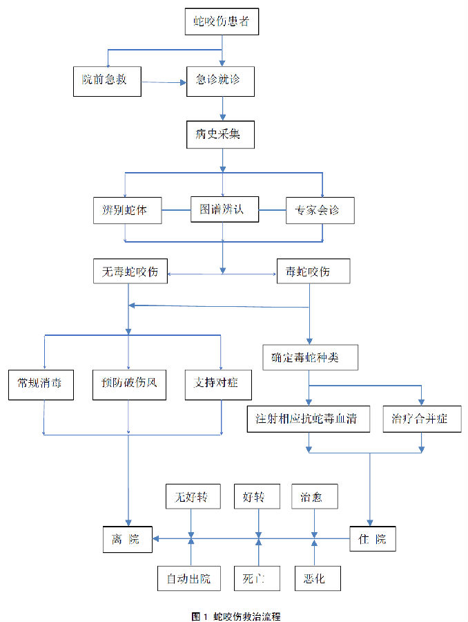 蛇咬伤救治规范