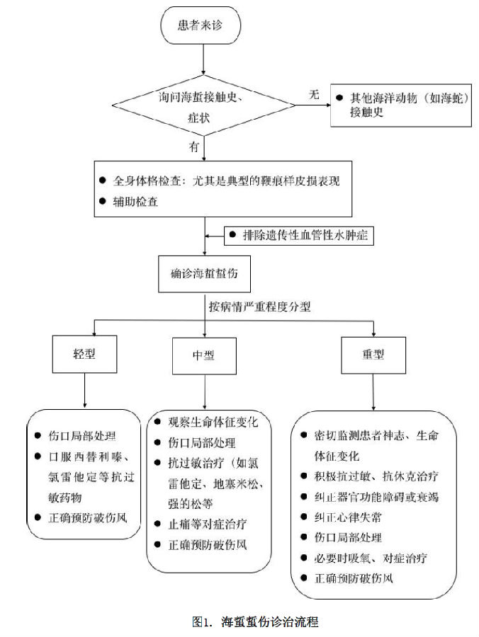 海蜇蜇伤救治规范