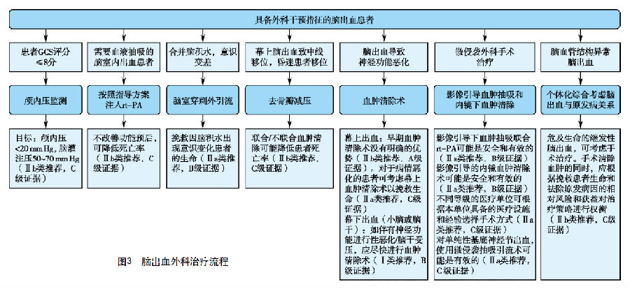 中国脑血管病临床管理指南--脑出血临床管理(节选版)