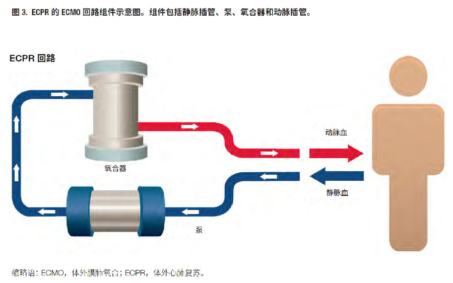 2019AHA关于心肺复苏及心血管急救指南的重点更新摘要