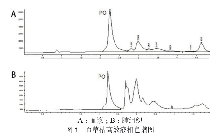 百草枯在大鼠体内的毒物代谢动力学研究