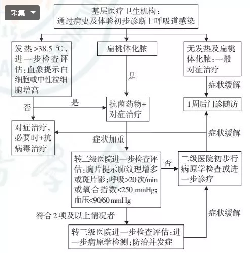 急性上呼吸道感染基层诊疗指南（实践版·2018）