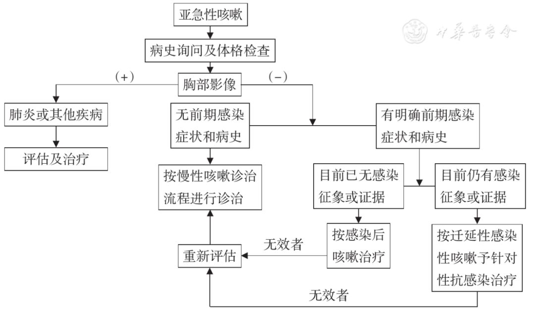 咳嗽基层诊疗指南（实践版·2018）