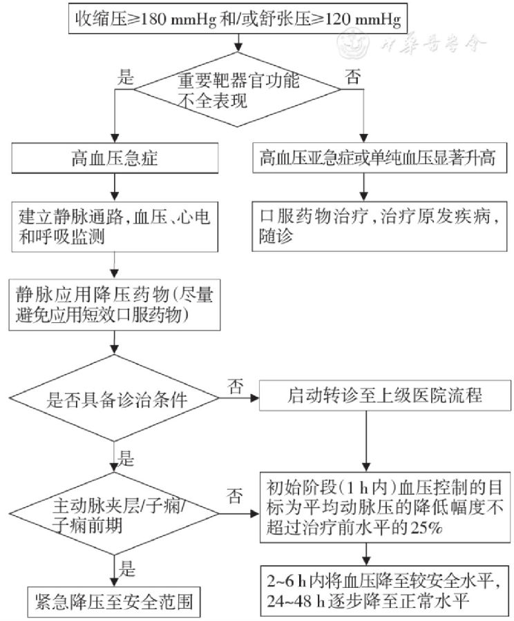 高血压基层诊疗指南（2019年）