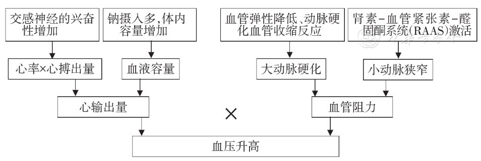 高血压基层诊疗指南（2019年）