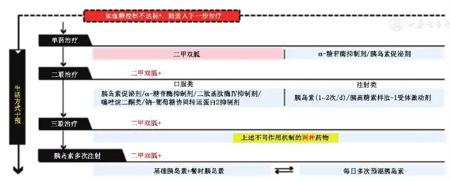 2型糖尿病基层诊疗指南（实践版·2019）