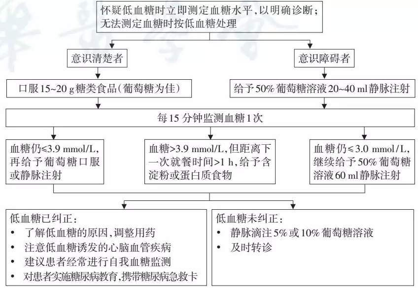 2型糖尿病基层诊疗指南（实践版·2019）