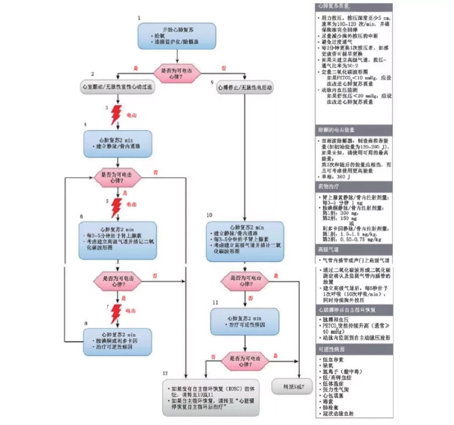 心脏骤停基层诊疗指南（2019年）