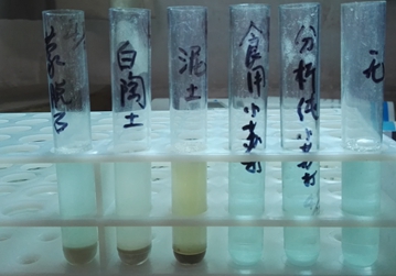 吸附剂对百草枯的解毒（减毒）作用