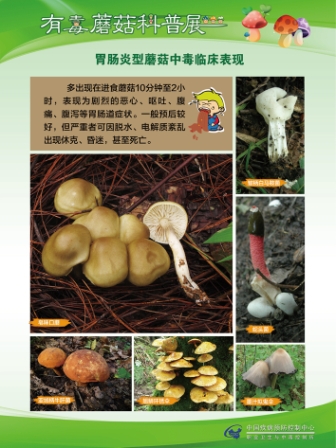 夏季谨防有毒蘑菇中毒——2016食品安全周科普宣传