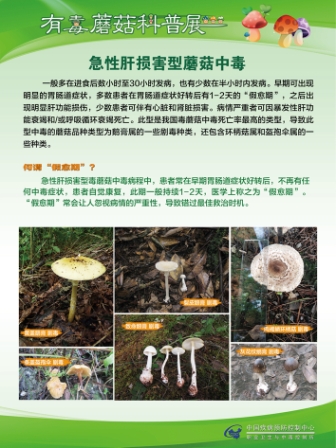 夏季谨防有毒蘑菇中毒——2016食品安全周科普宣传