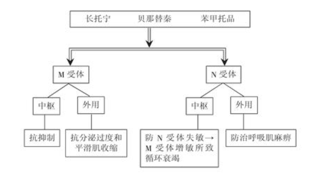 急性有机磷农药中毒性循环衰竭的防治