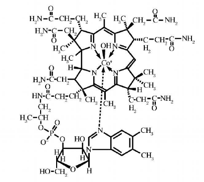 注射用羟钴胺:一种新型的氰化物解毒剂