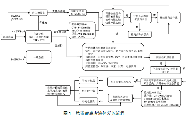 脓毒症液体治疗急诊专家共识