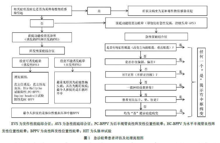 眩晕急诊诊断与治疗专家共识