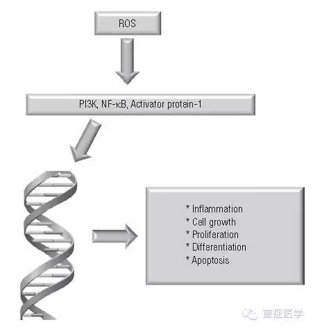 韩国经验｜急性百草枯中毒的诊断及治疗方法