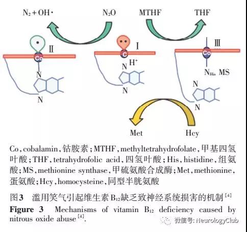 临床案例：滥用笑气中毒致神经系统损害一例（一氧化二氮，N2O）