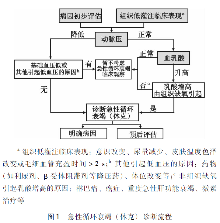 急性循环衰竭（休克）中国急诊临床实践专家共识