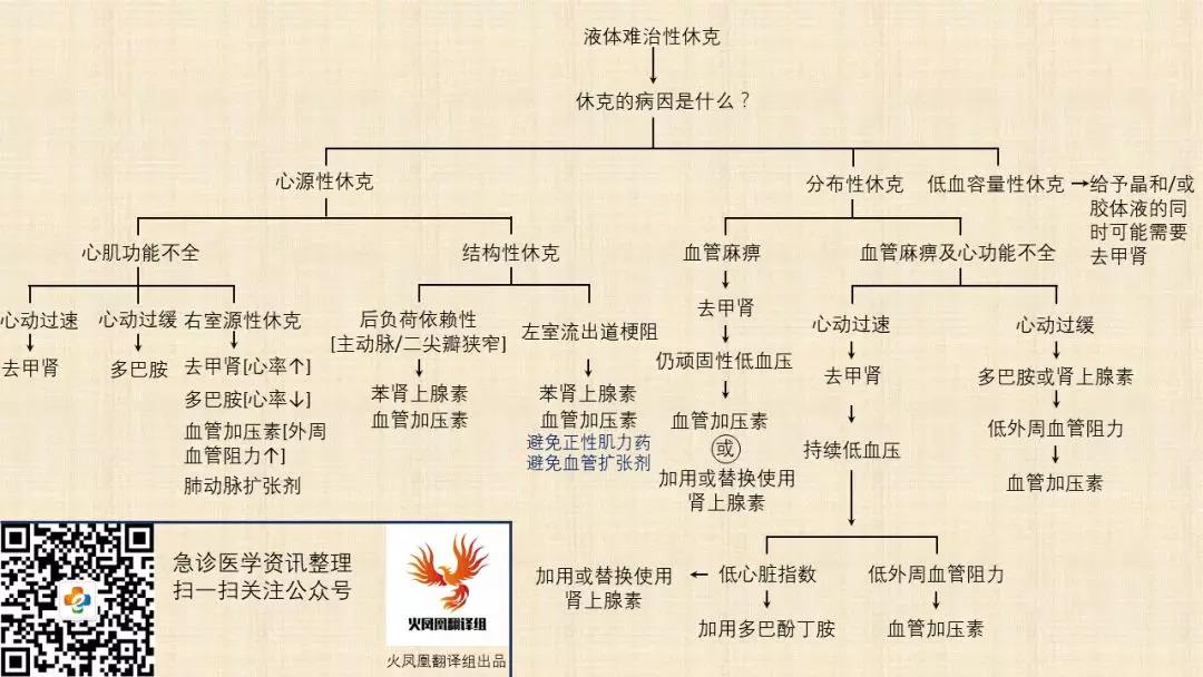 血管活性药物在休克中的应用