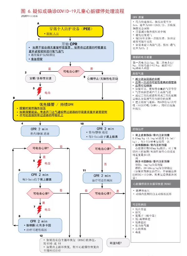 美国心脏协会（AHA）疑似或确诊COVID-19的成人、儿童和婴儿基础和高级生命支持临时指南