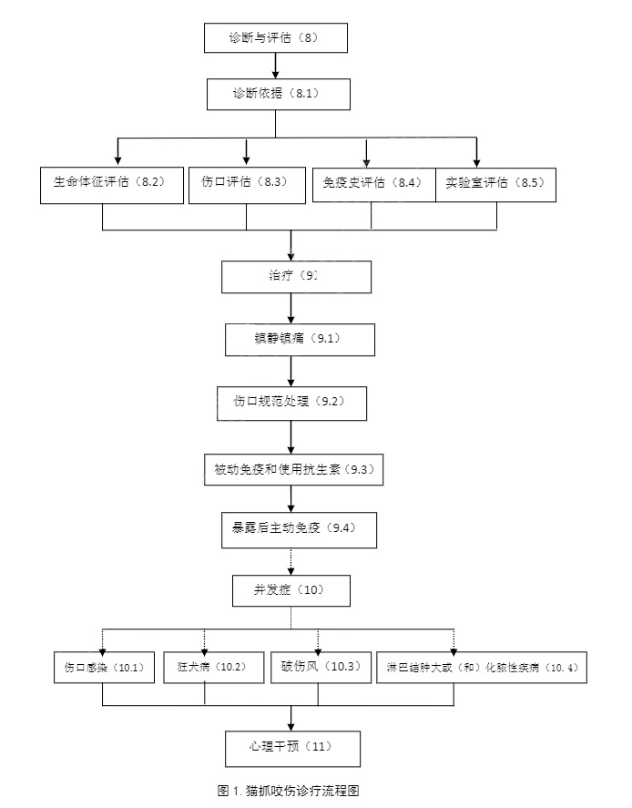 1595335800763892.jpg