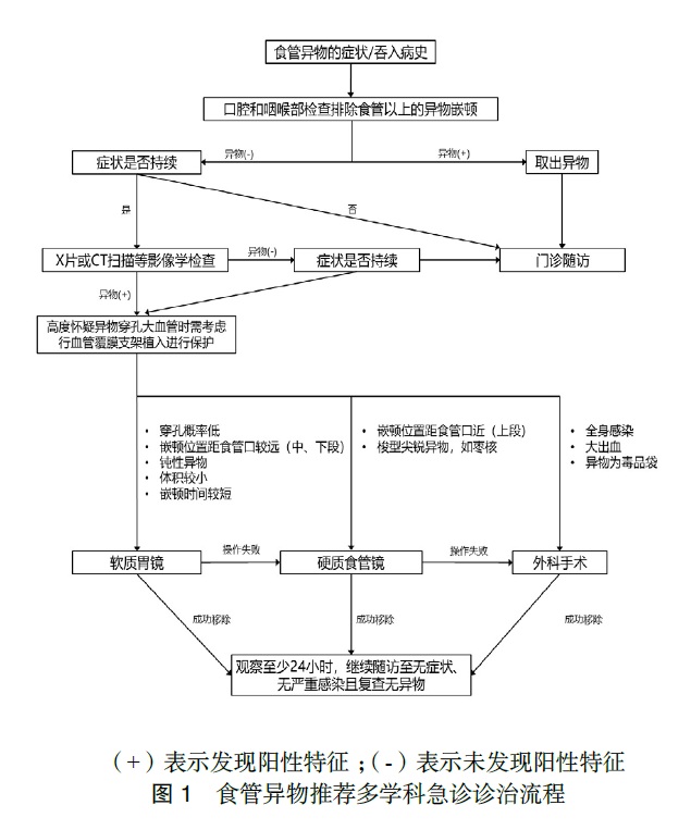 成人食管异物急诊处置专家共识（2020版）