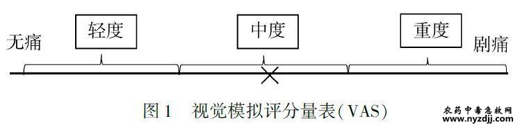 1649317847922177.jpg