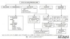 中国心力衰竭诊断和治疗指南2024之终末期心衰的治疗